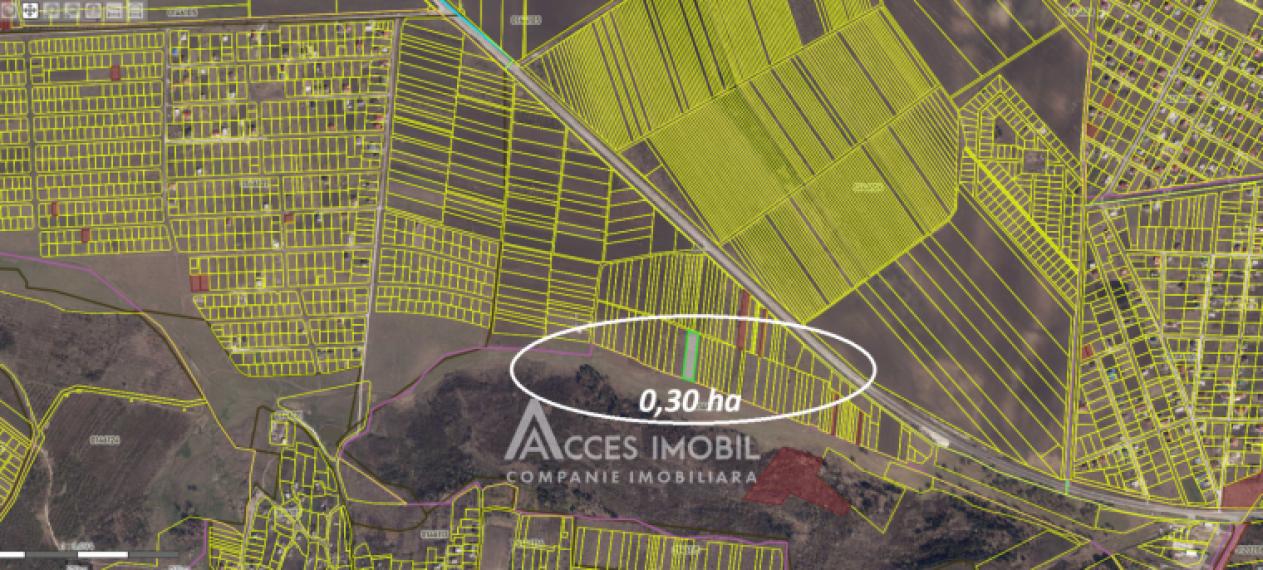 Teren agricol intravilan 30 ari! Tohatin, str. Tohatin Nou!: 3
