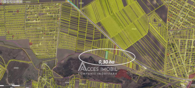 Teren agricol intravilan 30 ari! Tohatin, str. Tohatin Nou!: 3