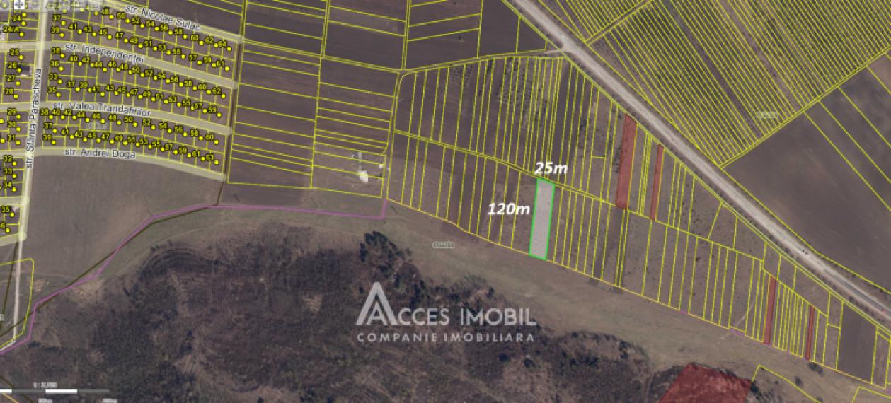 Teren agricol intravilan 30 ari! Tohatin, str. Tohatin Nou!: 4