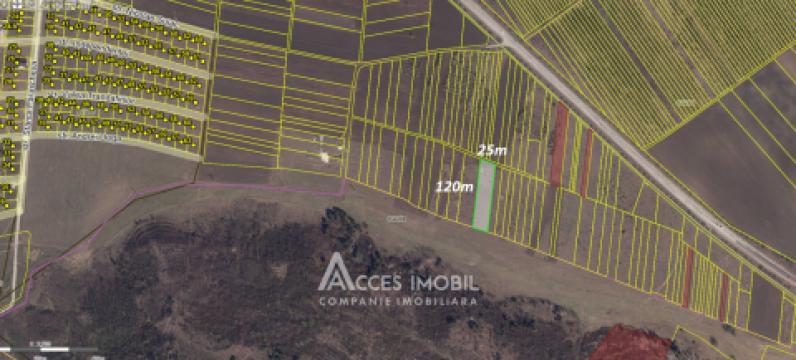 Teren agricol intravilan 30 ari! Tohatin, str. Tohatin Nou!: 4