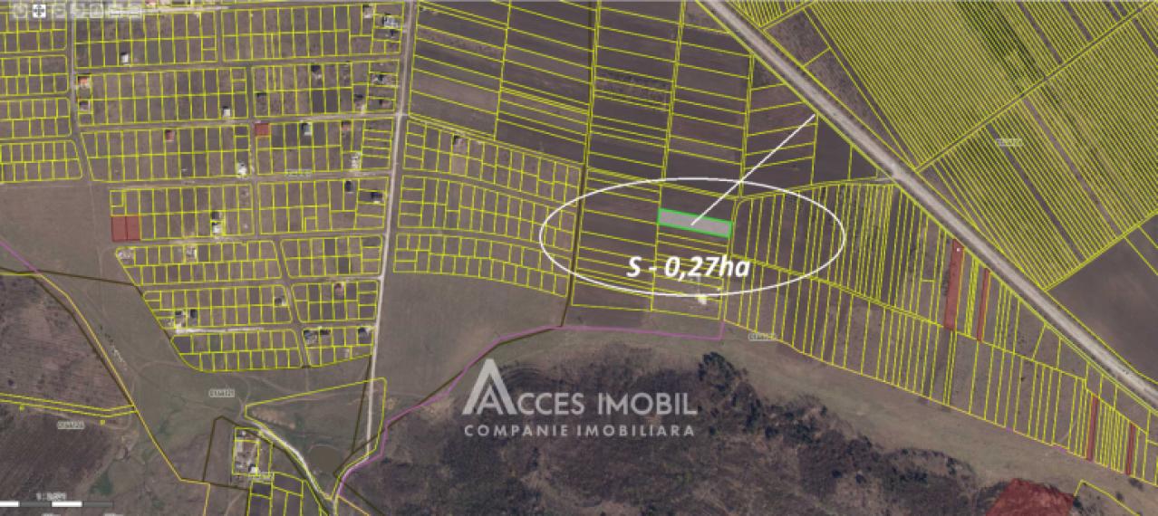 Teren agricol intravilan 27 ari! Tohatin, str. Tohatin Nou!: 3