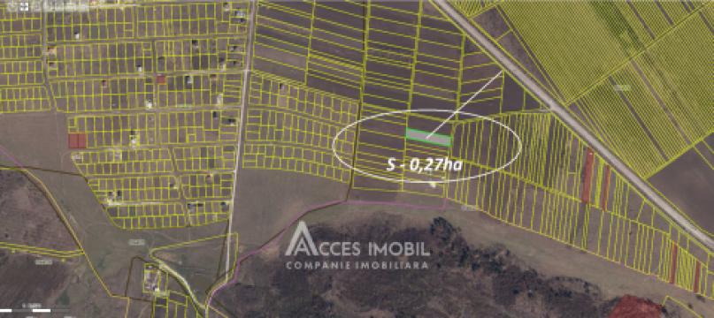 Teren agricol intravilan 27 ari! Tohatin, str. Tohatin Nou!: 3