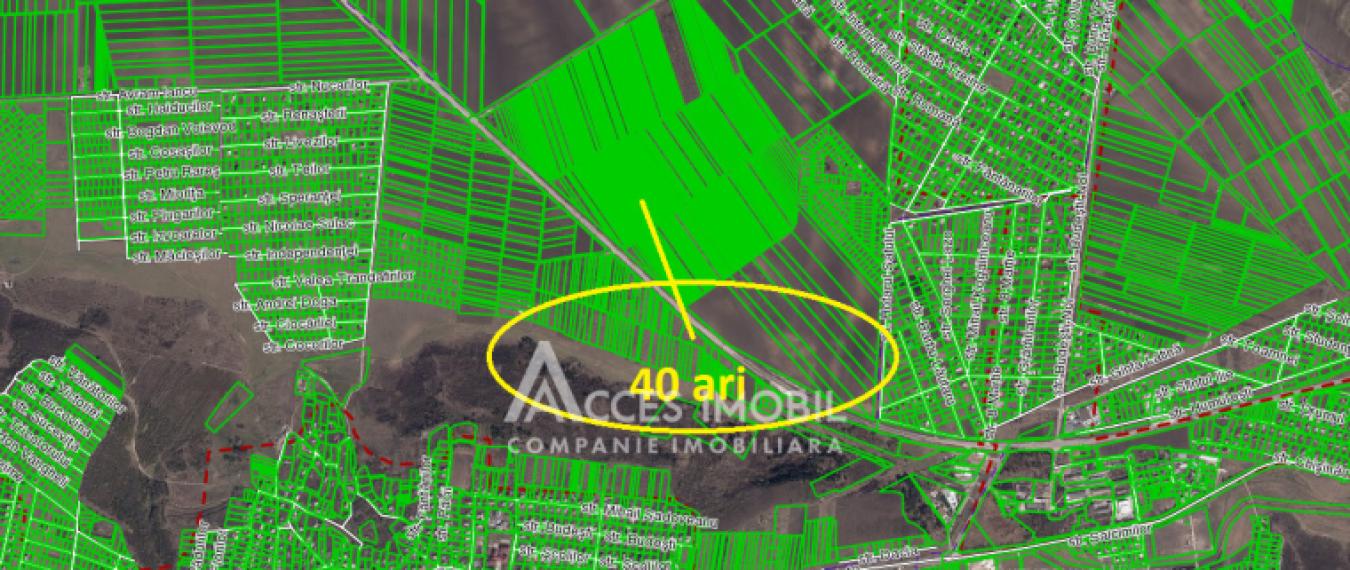 Teren agricol intravilan 40 ari! Tohatin, traseul M14!: 4