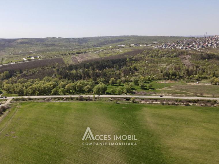 Teren agricol intravilan 40 ari! Tohatin, traseul M14!: 0