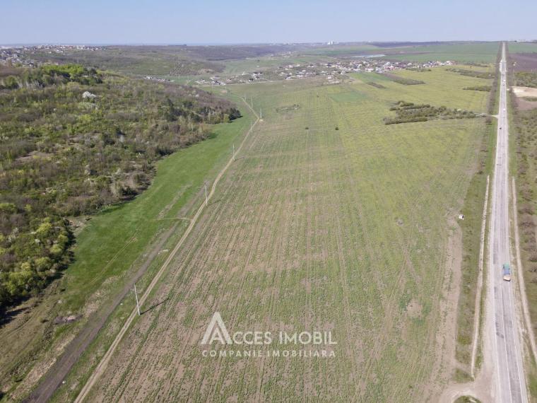 Teren agricol intravilan 40 ari! Tohatin, traseul M14!: 1