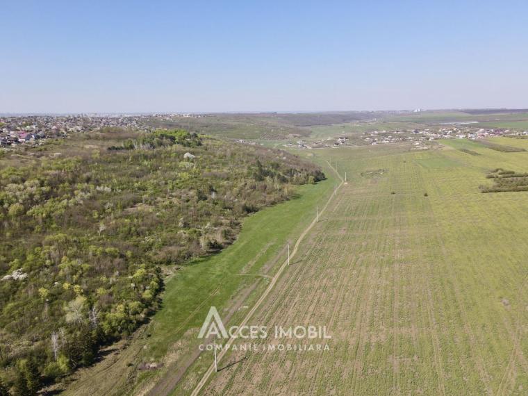 Teren agricol intravilan 40 ari! Tohatin, traseul M14!: 2