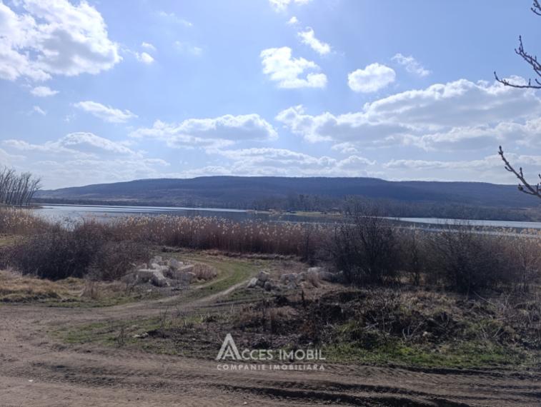 Teren pomicol 6 ari! Ulmu, str. Salcâmilor!: 2