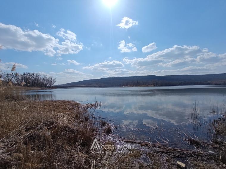 Teren pomicol 6 ari! Ulmu, str. Salcâmilor!: 3