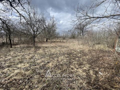 Land for sale in Chisinau: Suruceni, IP Struguras street