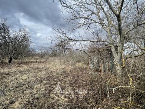 Agricultural land, 6 aries! Suruceni, IP Struguras street!: 1