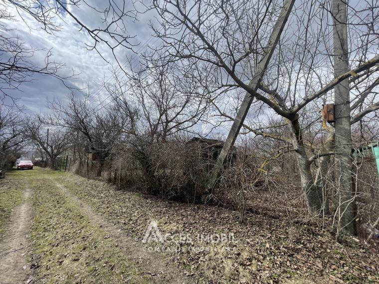 Agricultural land, 6 aries! Suruceni, IP Struguras street!: 2