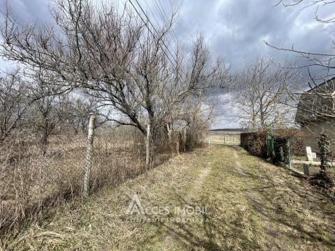 Agricultural land, 6 aries! Suruceni, IP Struguras street!: 3