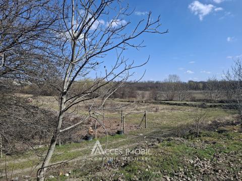 Lot of agricultural land 17 aries, Magdăcesti!: 3