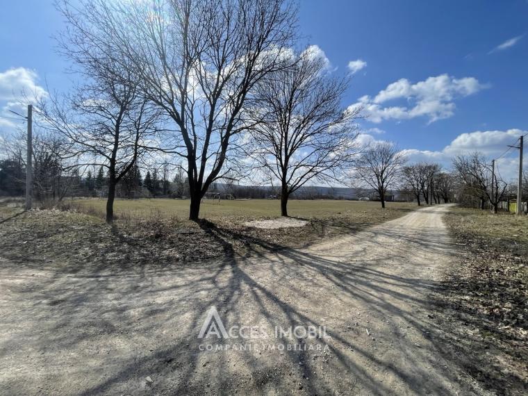 Land for construction, 35 ares, Orhei, Ivancea village, Sanatorială Street!: 4