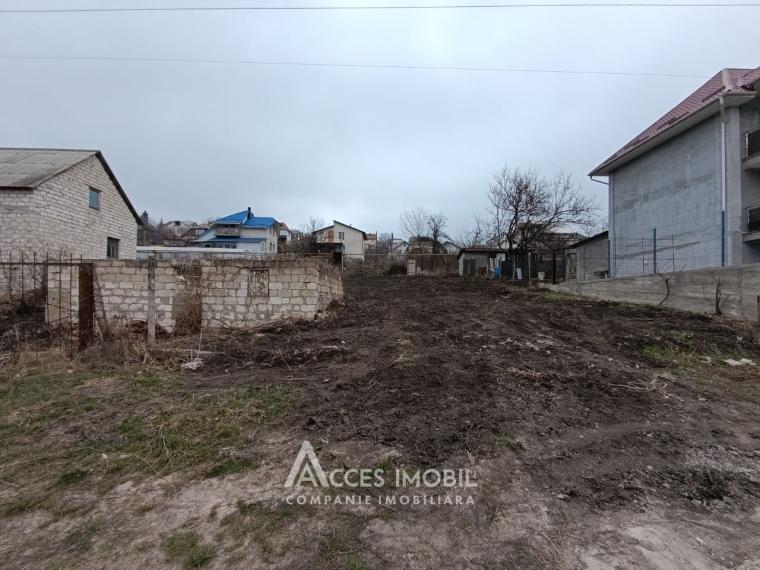 6 ares of fruit-growing land, Codru, Ip Vierul street!: 0