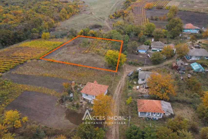 Teren pentru construcție 21.47 ari! Orhei, satul Donici!: 0