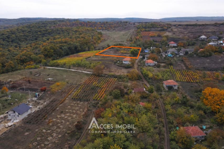 Teren pentru construcție 21.47 ari! Orhei, satul Donici!: 1