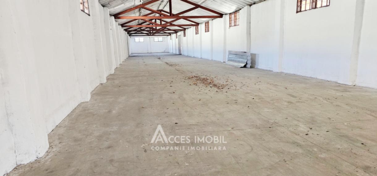 Аренда! Коммерческая помещение, 714 м2! Ватра, ул. Плопилор!: 0