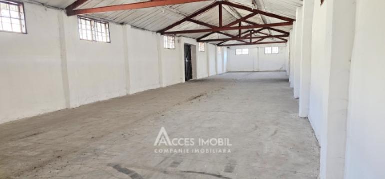 Аренда! Коммерческая помещение, 714 м2! Ватра, ул. Плопилор!: 4