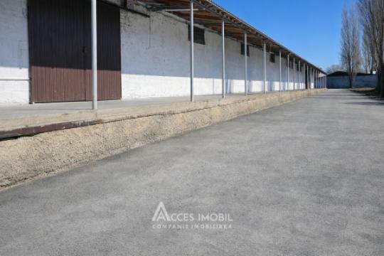 Аренда! Коммерческая помещение, 714 м2! Ватра, ул. Плопилор!: 5