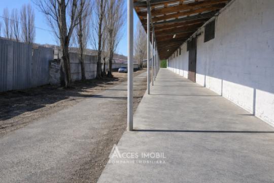 Аренда! Коммерческая помещение, 714 м2! Ватра, ул. Плопилор!: 6