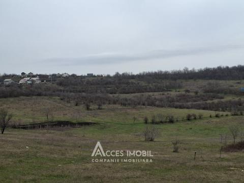 Land for construction 8.62 aries! Bubuieci, M. Viteazul street!: 3