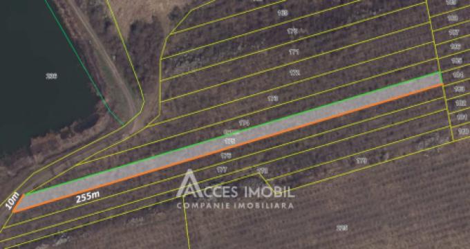 Land for sale in Chisinau: Colonita