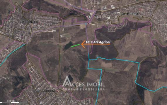 Участок земли сельскохозяйственного назначения, 18 соток. Экстравилан, Колоница!: 2