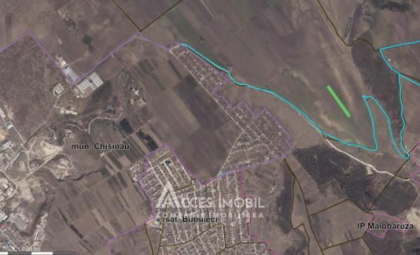 Land for sale in Chisinau: Colonita