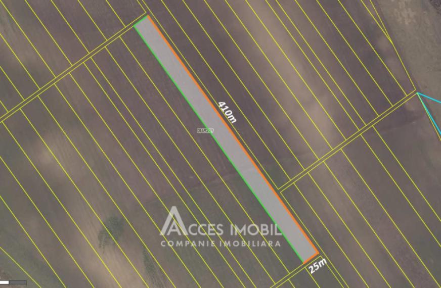 Участок земли сельскохозяйственного назначения, 101 соток. Экстравилан, Колоница!: 2