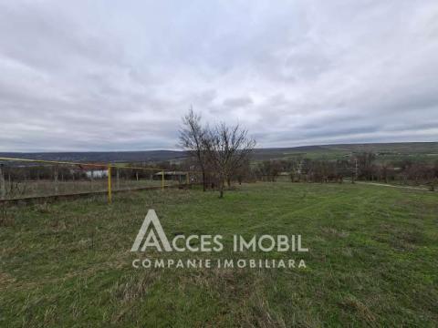 Земельный участок под строительство 12 соток, Бошкана, ул. Каля Басарабией!: 1