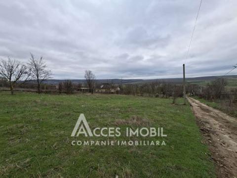 Земельный участок под строительство 12 соток, Бошкана, ул. Каля Басарабией!: 2