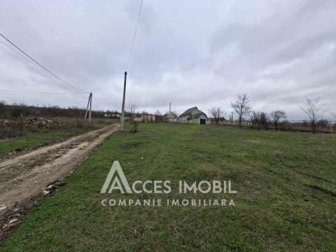 Земельный участок под строительство 12 соток, Бошкана, ул. Каля Басарабией!: 3