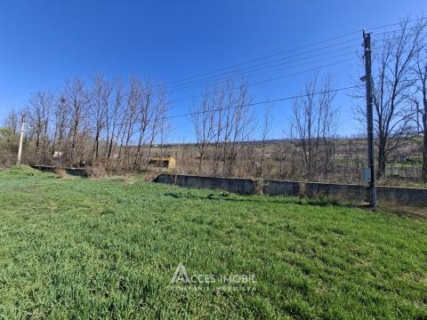 Lot of agricultural land, 24 aries. Dolinnoe commune, Valea Colonitei village!: 2