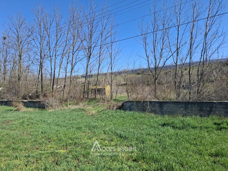 Lot of agricultural land, 24 aries. Dolinnoe commune, Valea Colonitei village!: 3
