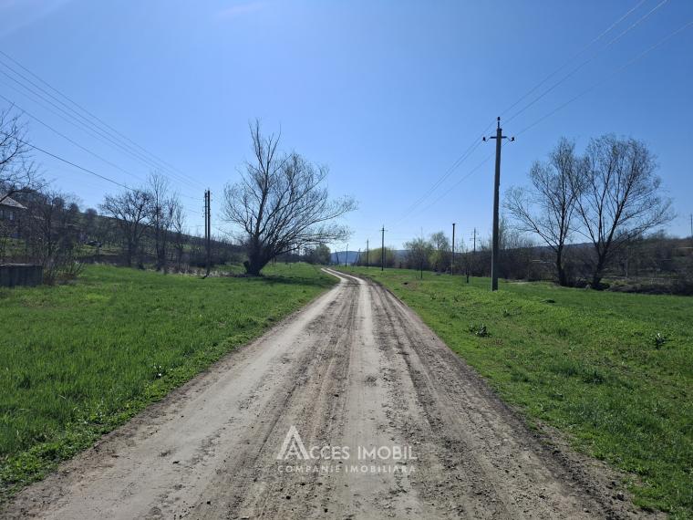 Lot of agricultural land, 24 aries. Dolinnoe commune, Valea Colonitei village!: 1