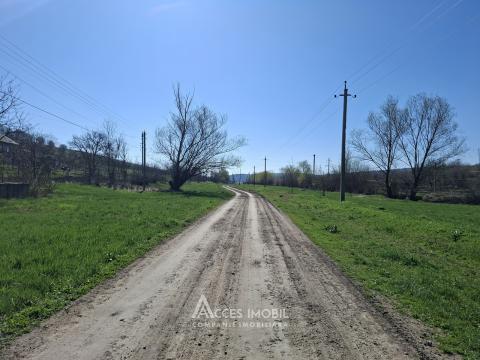 Lot of agricultural land, 24 aries. Dolinnoe commune, Valea Colonitei village!: 1