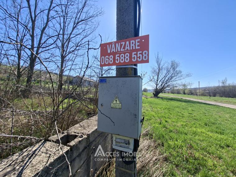 Lot of agricultural land, 24 aries. Dolinnoe commune, Valea Colonitei village!: 4