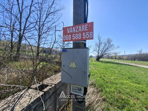 Lot of agricultural land, 24 aries. Dolinnoe commune, Valea Colonitei village!: 4