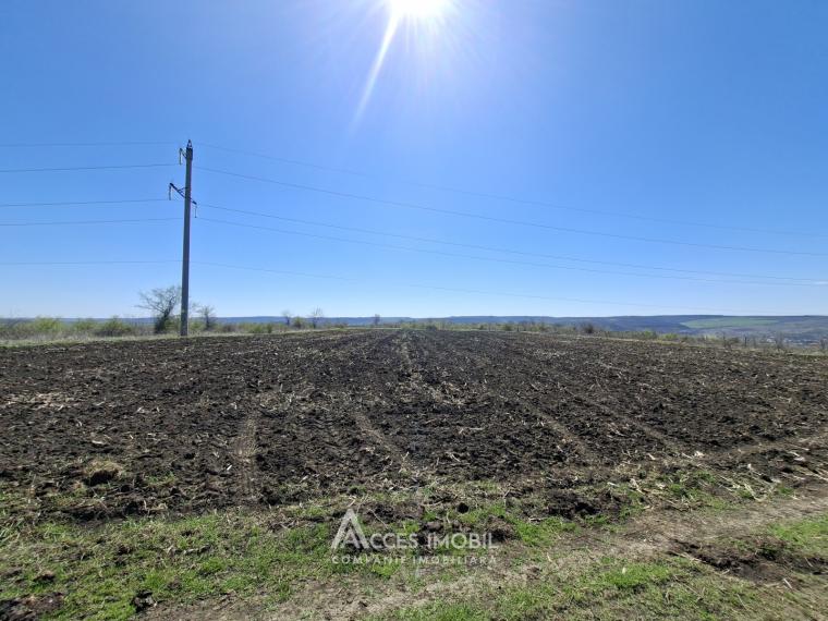 Agricultural land, 33 ares! Budești!: 0