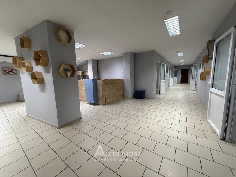 Spațiu Comercial! Râșcani, str. Feredeului, 1260m2 + 5 ari. Euroreparație!: 6