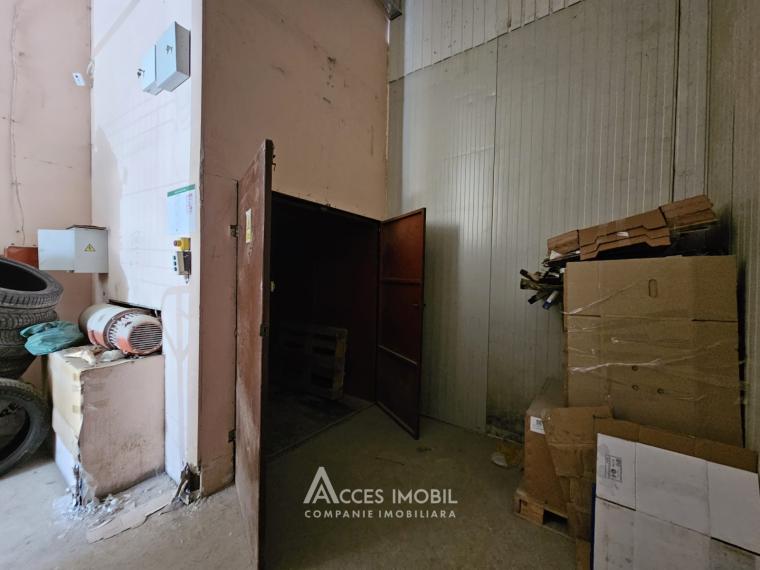 Spațiu Comercial! Râșcani, str. Feredeului, 1260m2 + 5 ari. Euroreparație!: 10