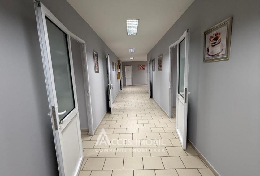 Spațiu Comercial! Râșcani, str. Feredeului, 1260m2 + 5 ari. Euroreparație!: 7
