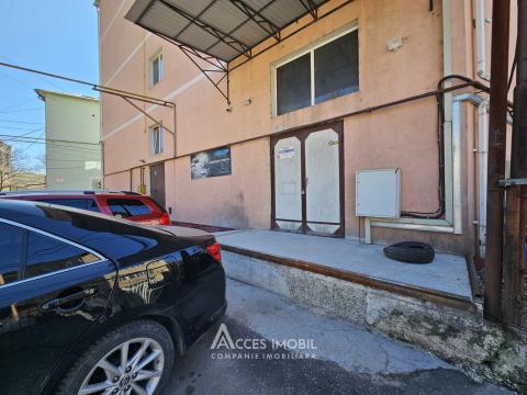 Spațiu Comercial! Râșcani, str. Feredeului, 1260m2 + 5 ari. Euroreparație!: 17