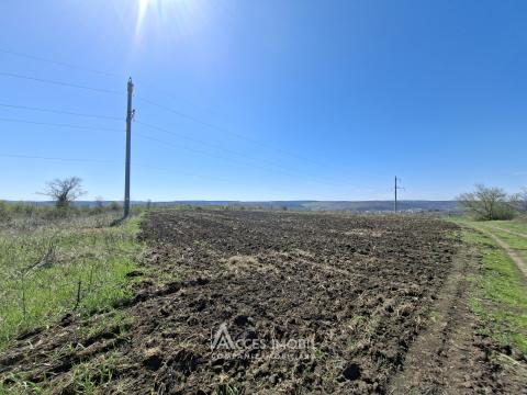 Land for sale in Chisinau: Budești