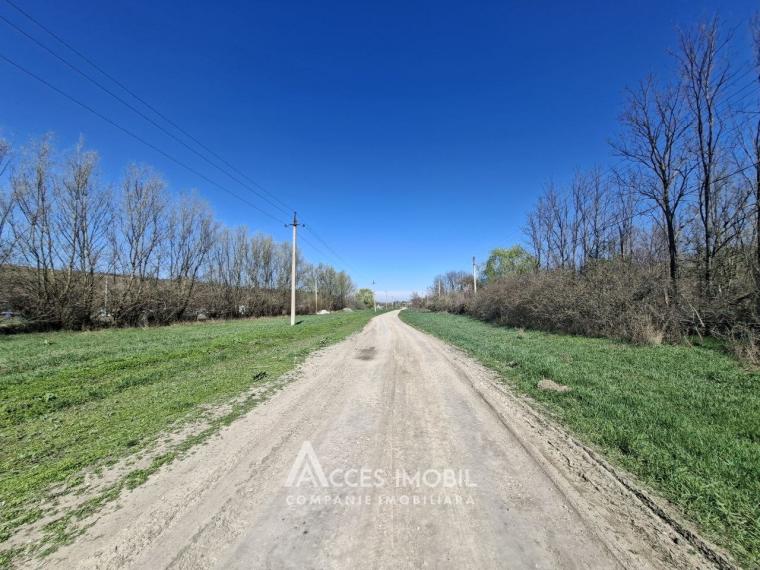 Lot of agricultural land, 24 aries. Dolinnoe commune, Valea Colonitei village!: 0