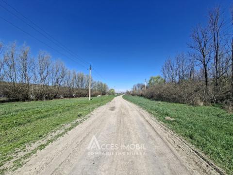 Land for sale in Chisinau: Dolinnoe, Valea Colonitei village