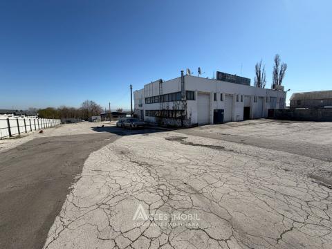 Commercials for rent in Chisinau: Durlesti, Nicolae Dimo street