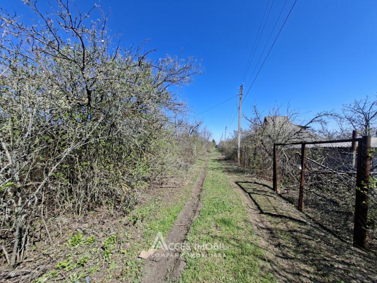 Lot of agricultural land 6 aries! Mereni, I.P. Zarea street!: 1