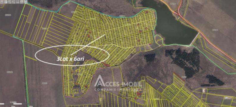 Lot of agricultural land 6 aries! Mereni, I.P. Zarea street!: 4